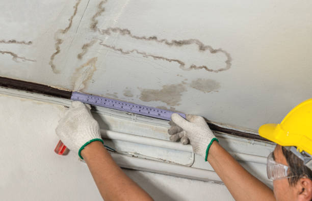 Reliable Water Damage Repair contractor in Washington, VA by Aqua Guard Water Damage